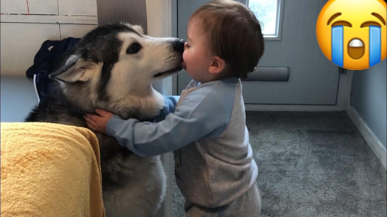 DOES MY BABY LOVE ONE DOG MORE THAN THE OTHER?