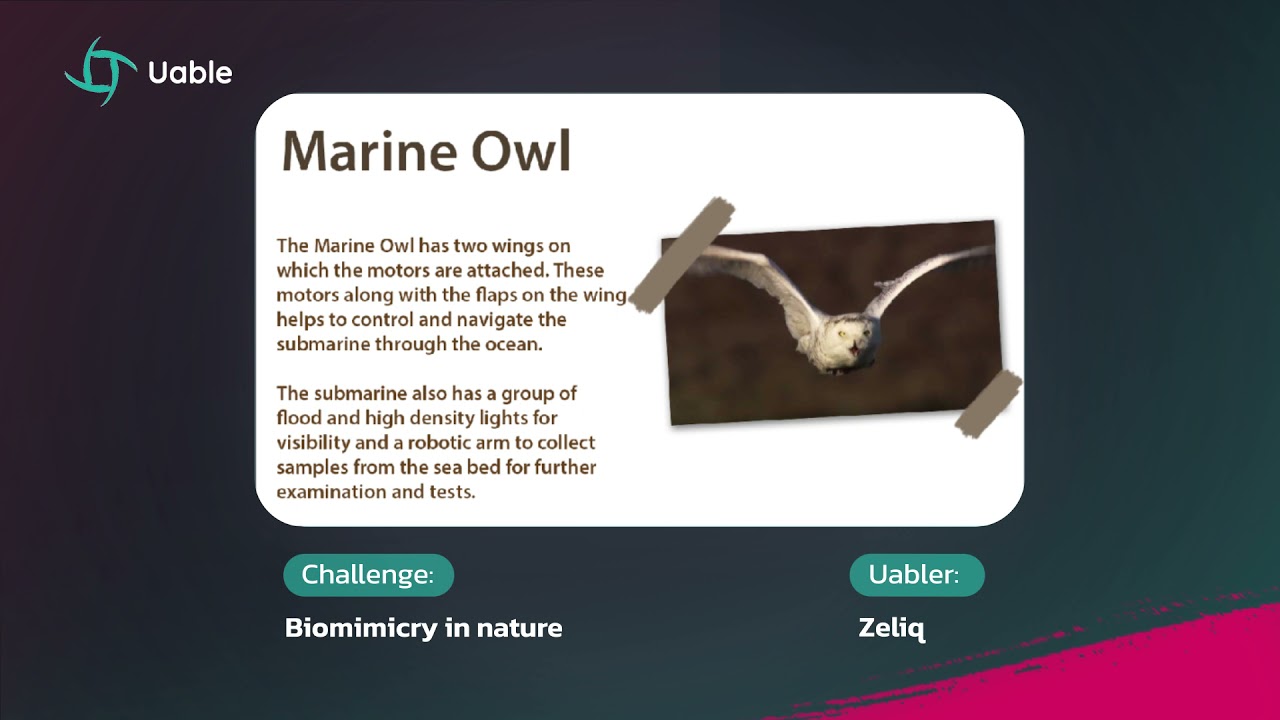 Uable App Challenges | Biomimicry in Nature