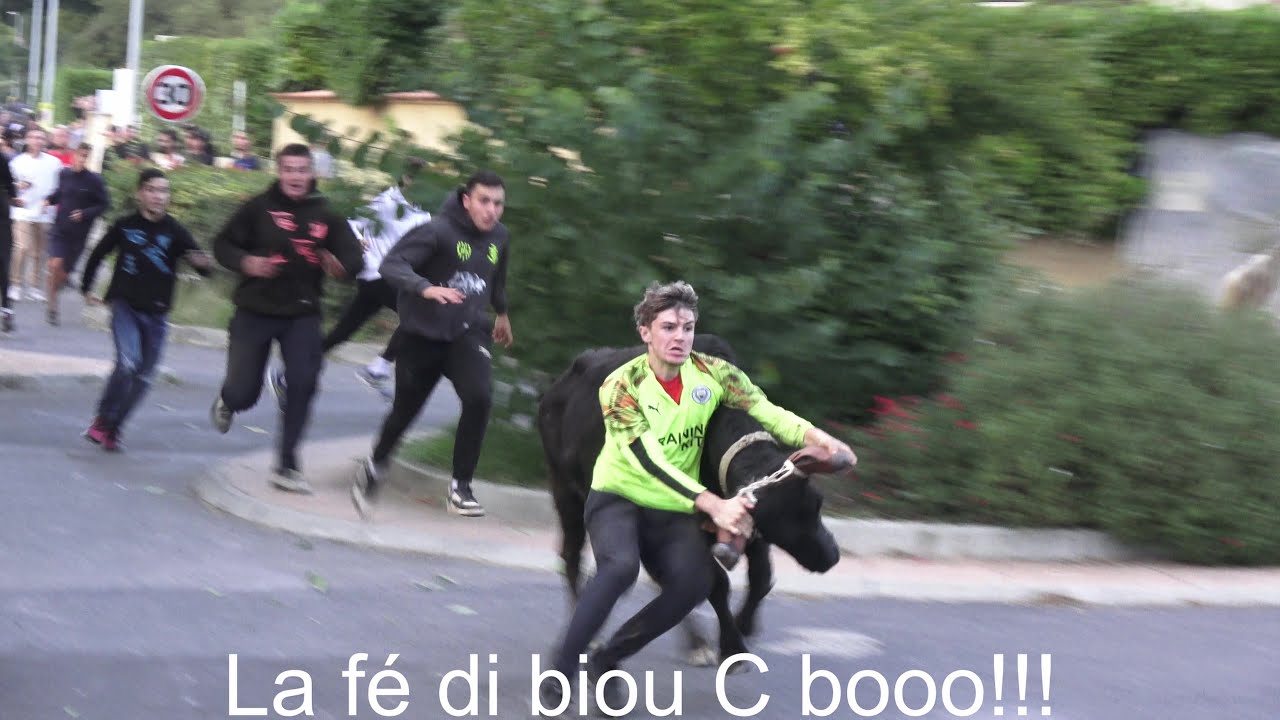 Saint-Jean-de-Védas ▶Bandido + Encierro - manades Alain et La Falaque◀ 21.09.2024.