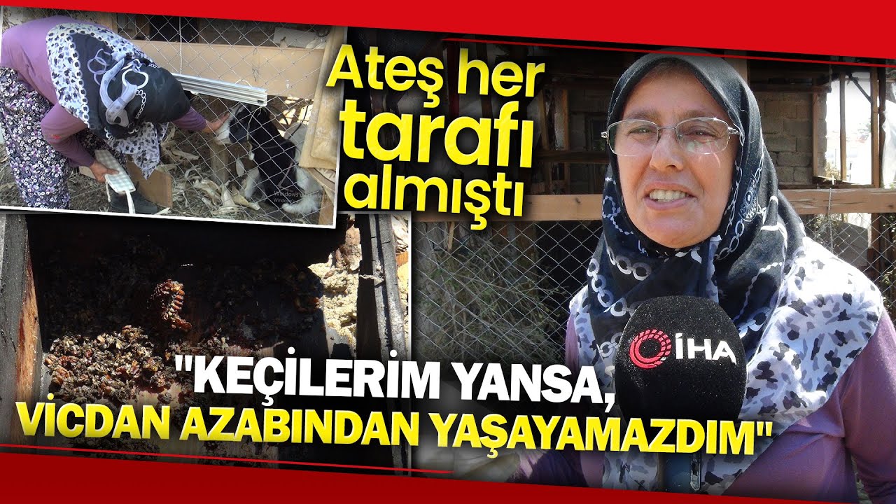 Manavgat'ta Canı Pahasına Yangından Küçükbaş Hayvanlarını Kurtardı: Vicdan Azabından Yaşayamazdım