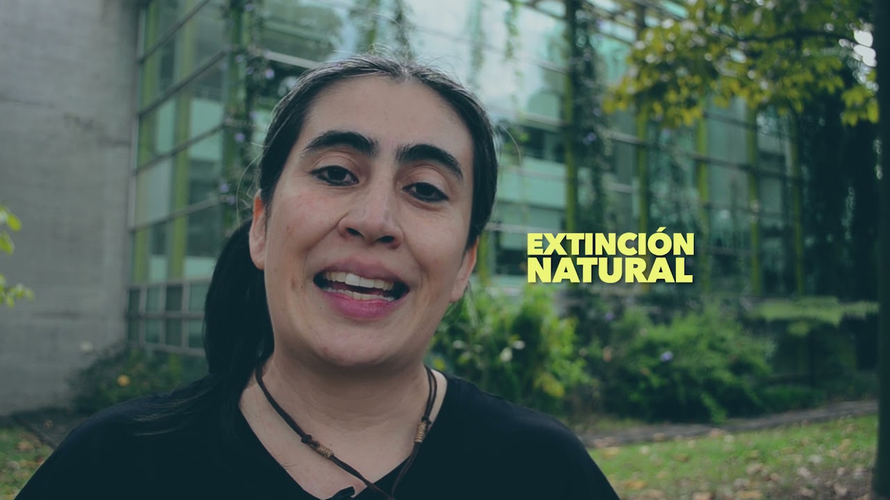 &iquest;Qu&eacute; es una especie amenazada?