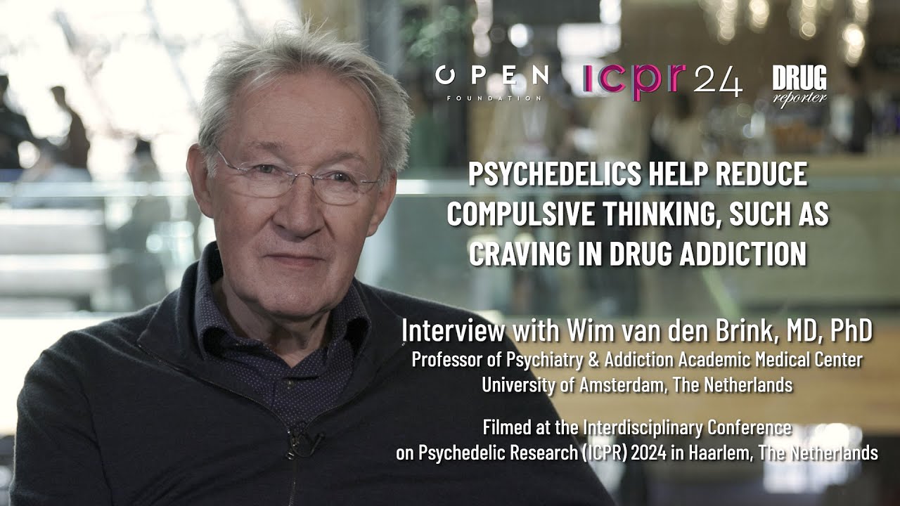Psychedelics help compulsive thinking, like craving in drug addiction | Wim Van Den Brink, MD, PhD
