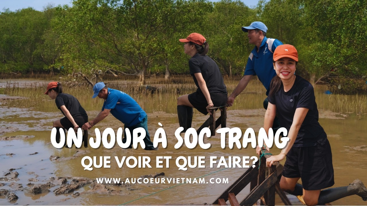 Que voir et que faire à Soc Trang? La mangrove, une visite originale et insolite pour vous!