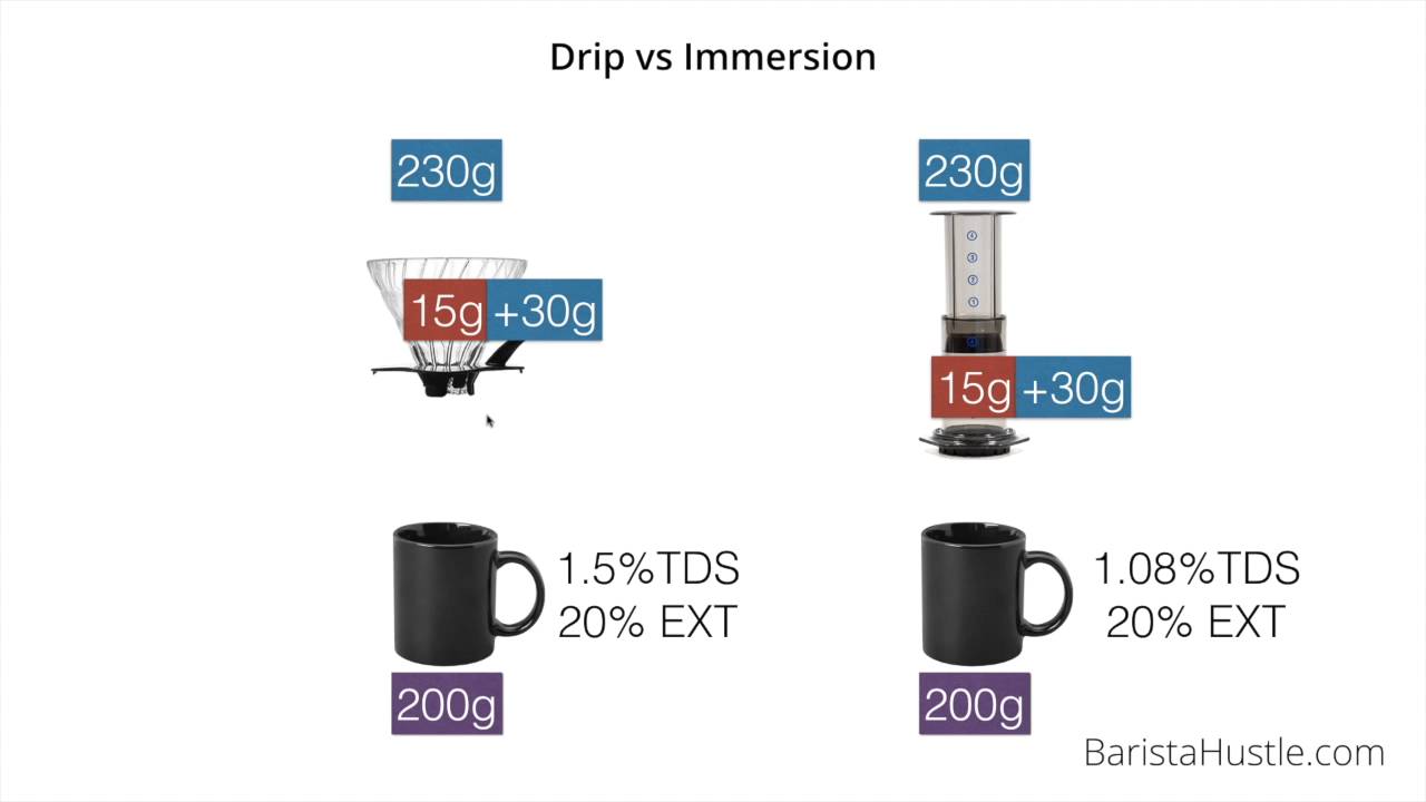 Immersion vs Drip Coffee Brewers