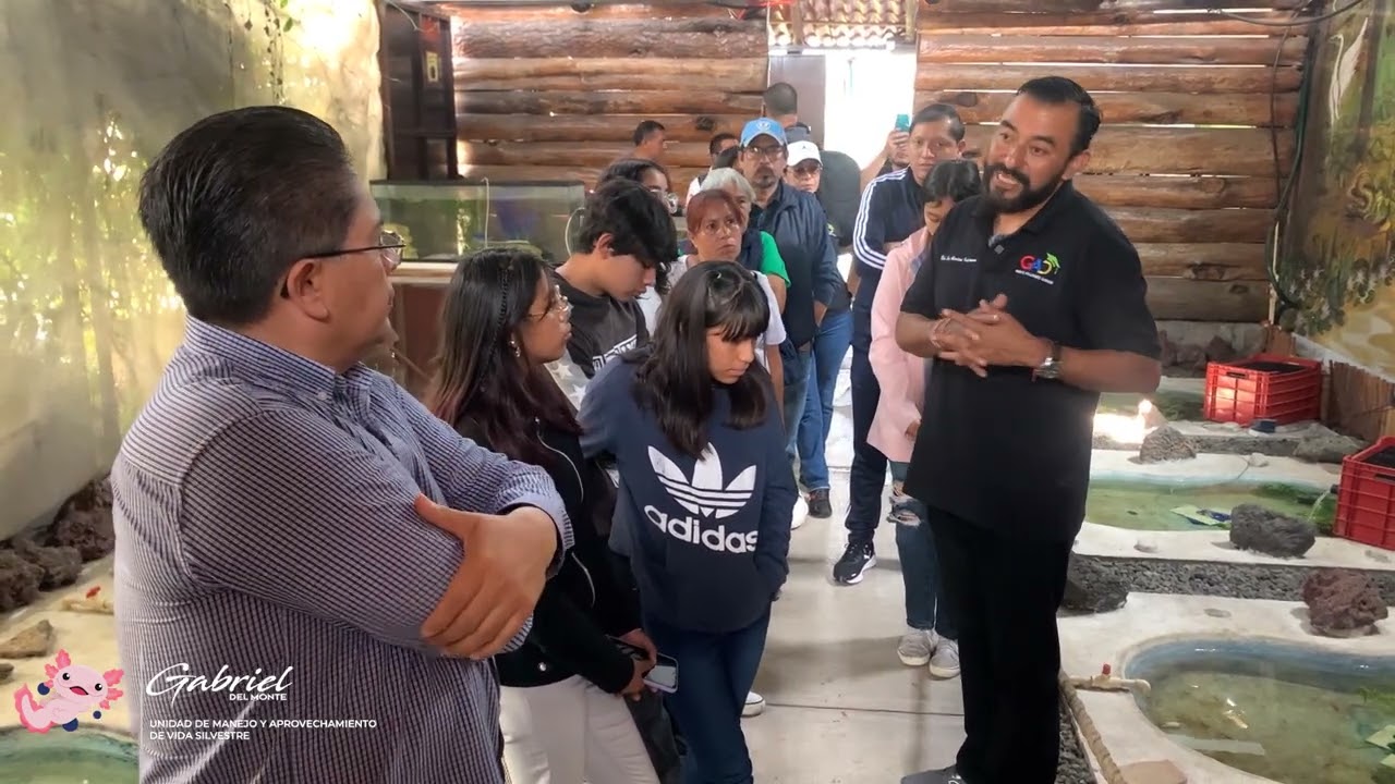 Ajolotario, Xochimilco
