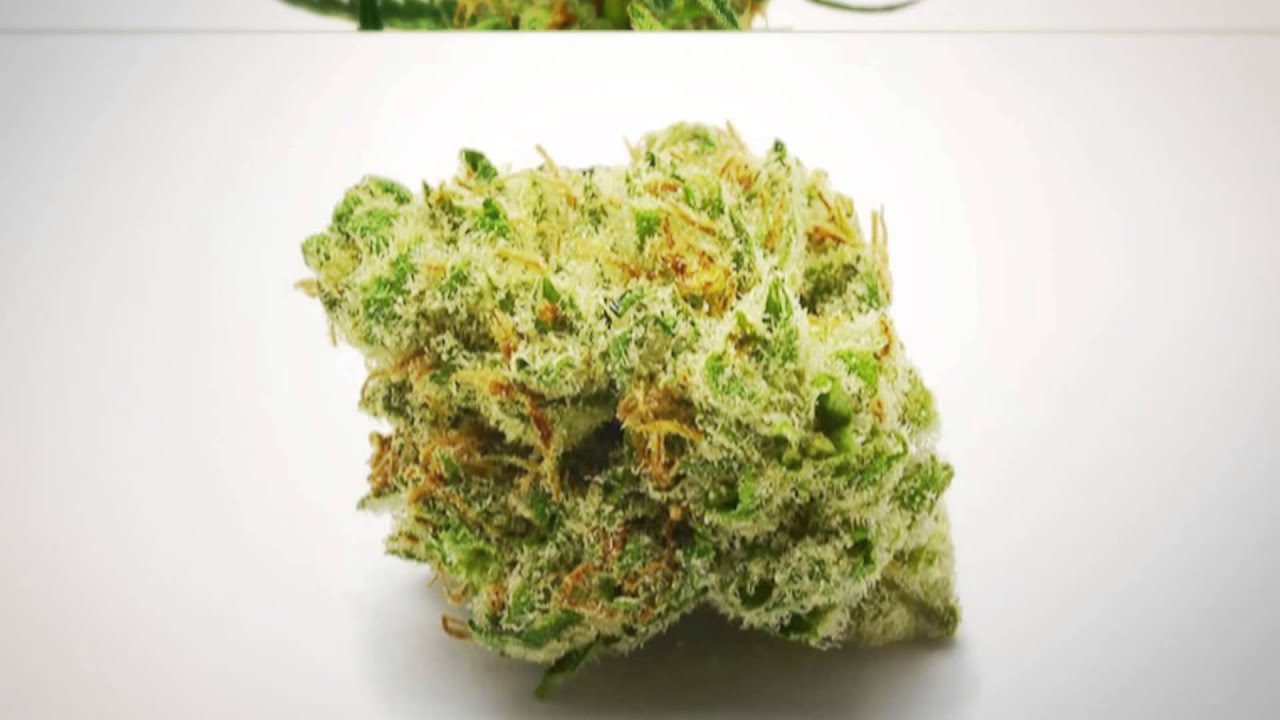 The Green Solution - Glass Slipper Strain