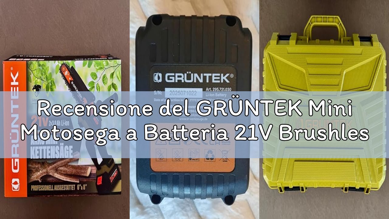 Recensione del GR&Uuml;NTEK Mini Motosega a Batteria 21V Brushless &ndash; Kit Motosega Elettrica con 2 Batteri