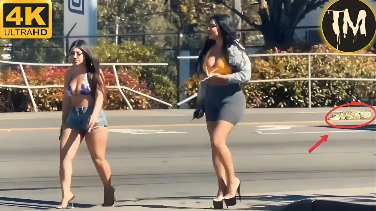 Moments Of Instant Karma Caught On Camera | Instant Regret Fails Compilation 2025 #268