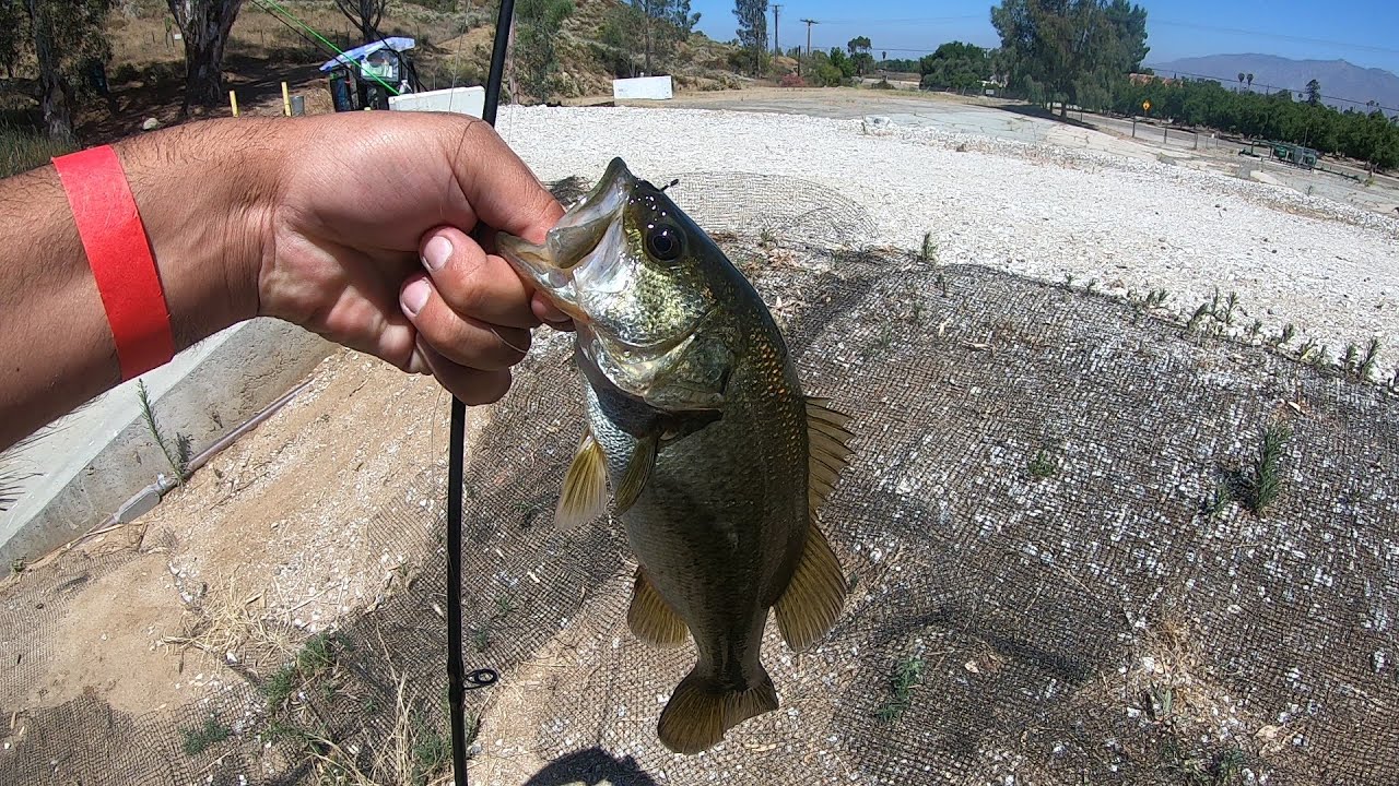 Bank fishing | Little Lake Hemet California