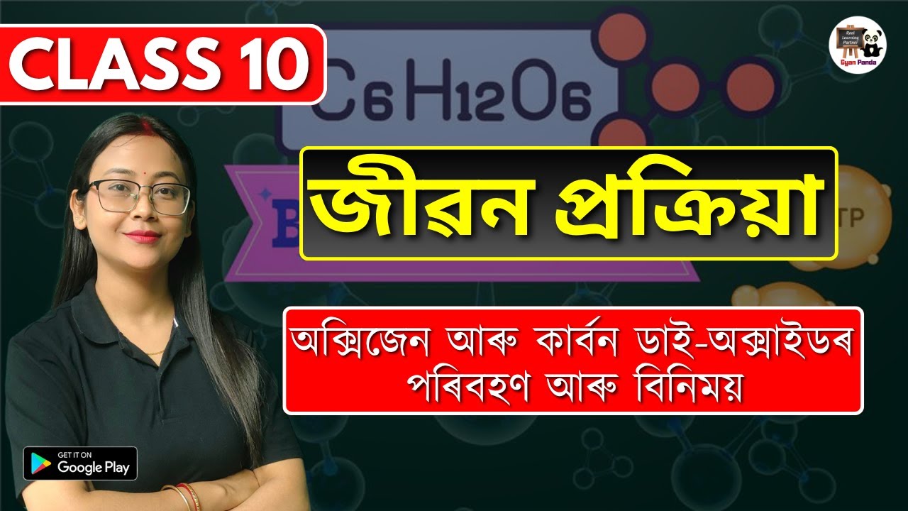 Class 10 Science | জীৱন প্ৰক্ৰিয়া | অক্সিজেন আৰু কাৰ্বন ডাই-অক্সাইডৰ পৰিবহণ আৰু বিনিময় | HSLC 2026