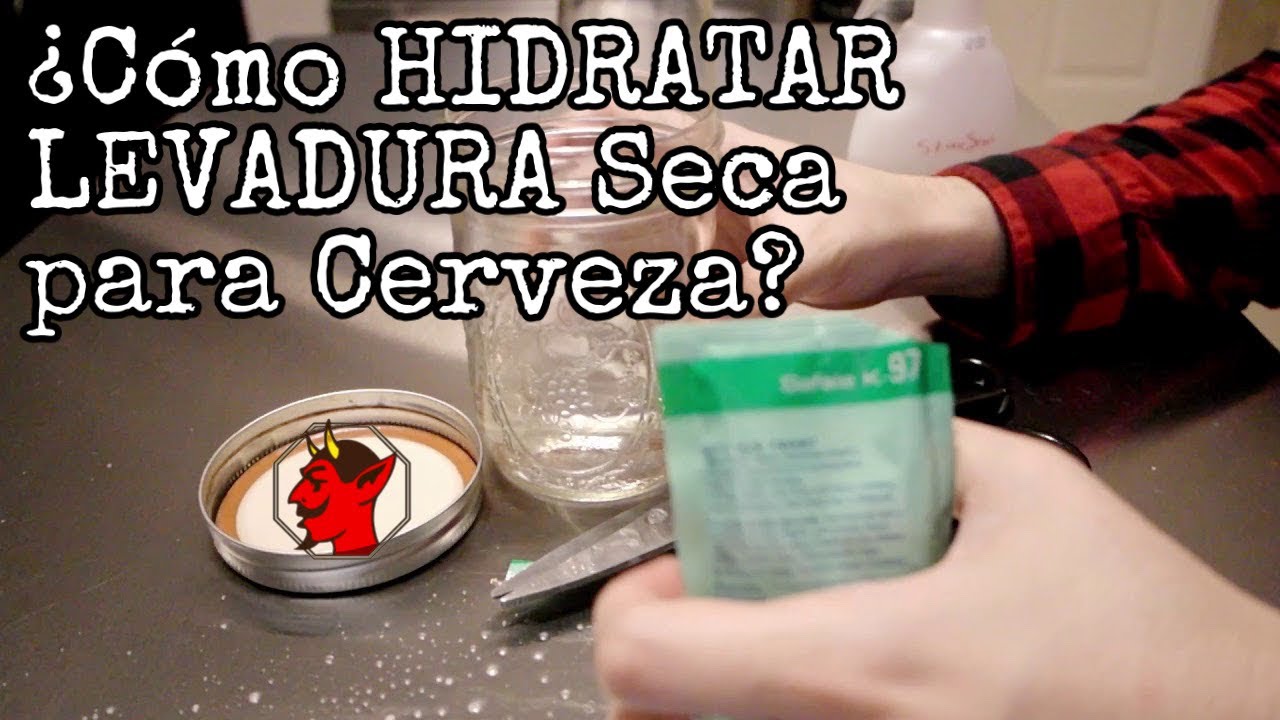 CÓMO HIDRATAR Levadura Seca para Cerveza - [RAPIDÍSIMO] - Brewtorial Básico - BsBR01