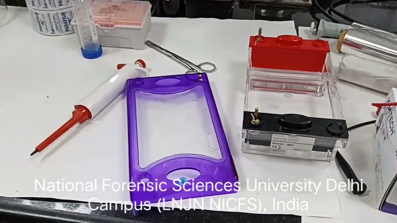 National Forensic Sciences University Delhi Campus (LNJN NICFS) / New Delhi/ India