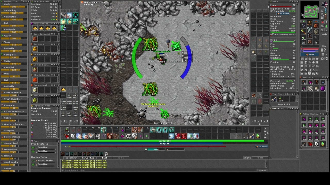 Tibia - 