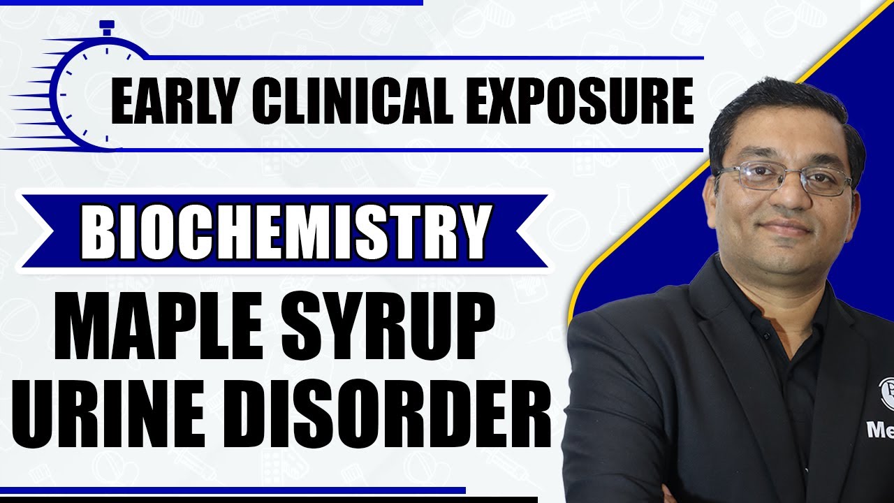 Maple Syrup Urine Disorder: Biochemistry | 1st Year MBBS | Early Clinical Exposure By Dr. Rajesh