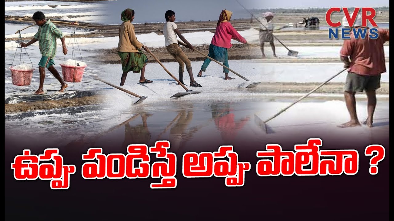 ఉప్పు సాగురైతుల అవస్థలు.. ప్రభుత్వం ఆదరణ కోసం ఎదురుచూపులు | Salt Farmers Issues | CVR News