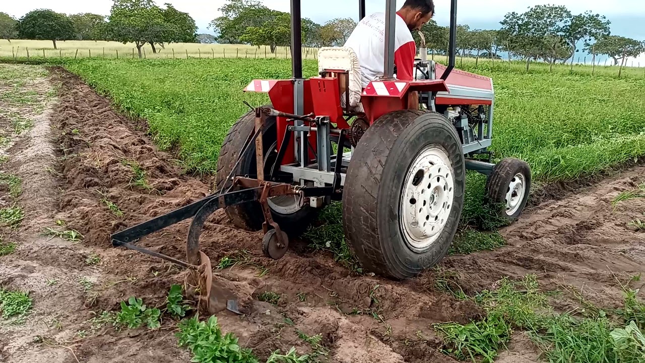 aradando no tratorzinho.