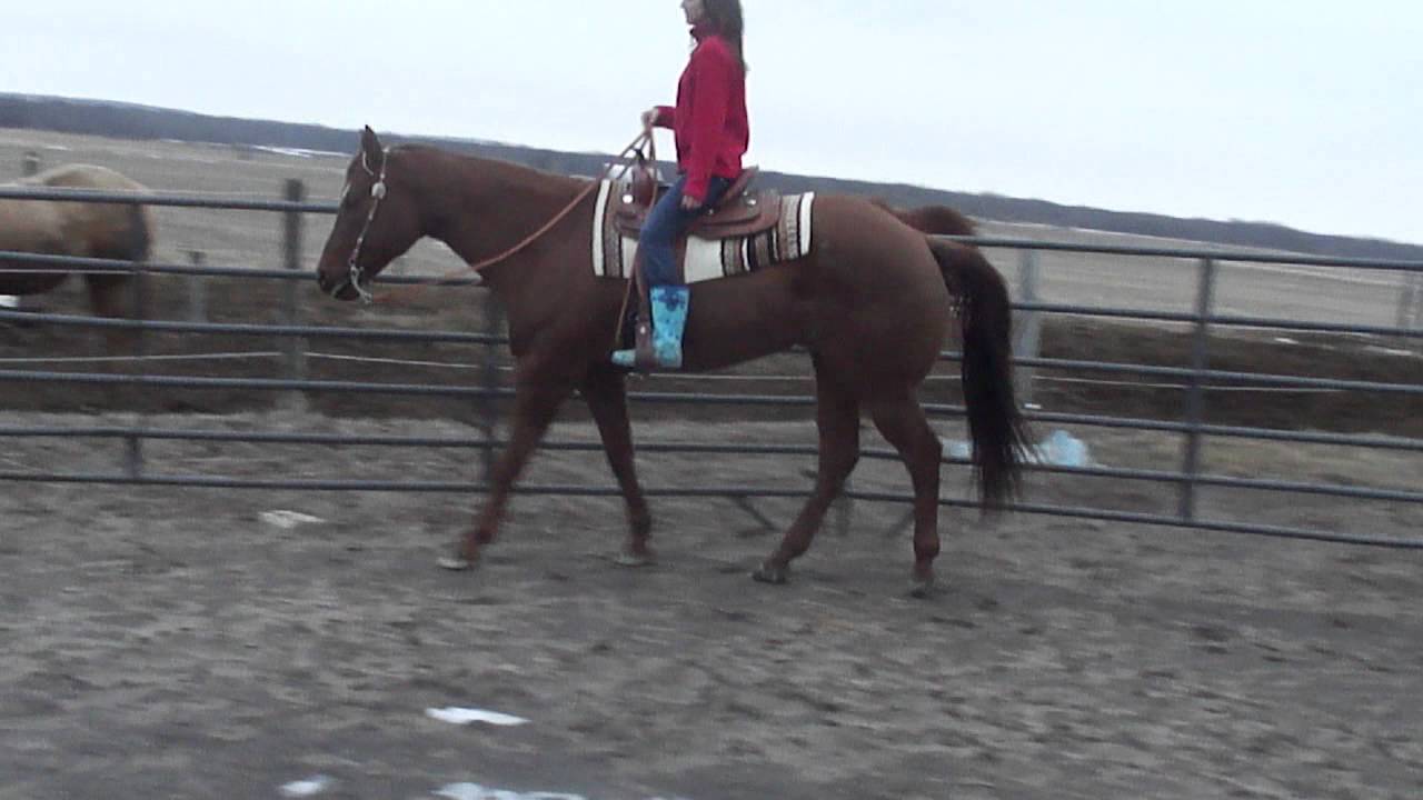 Notable Impression riding