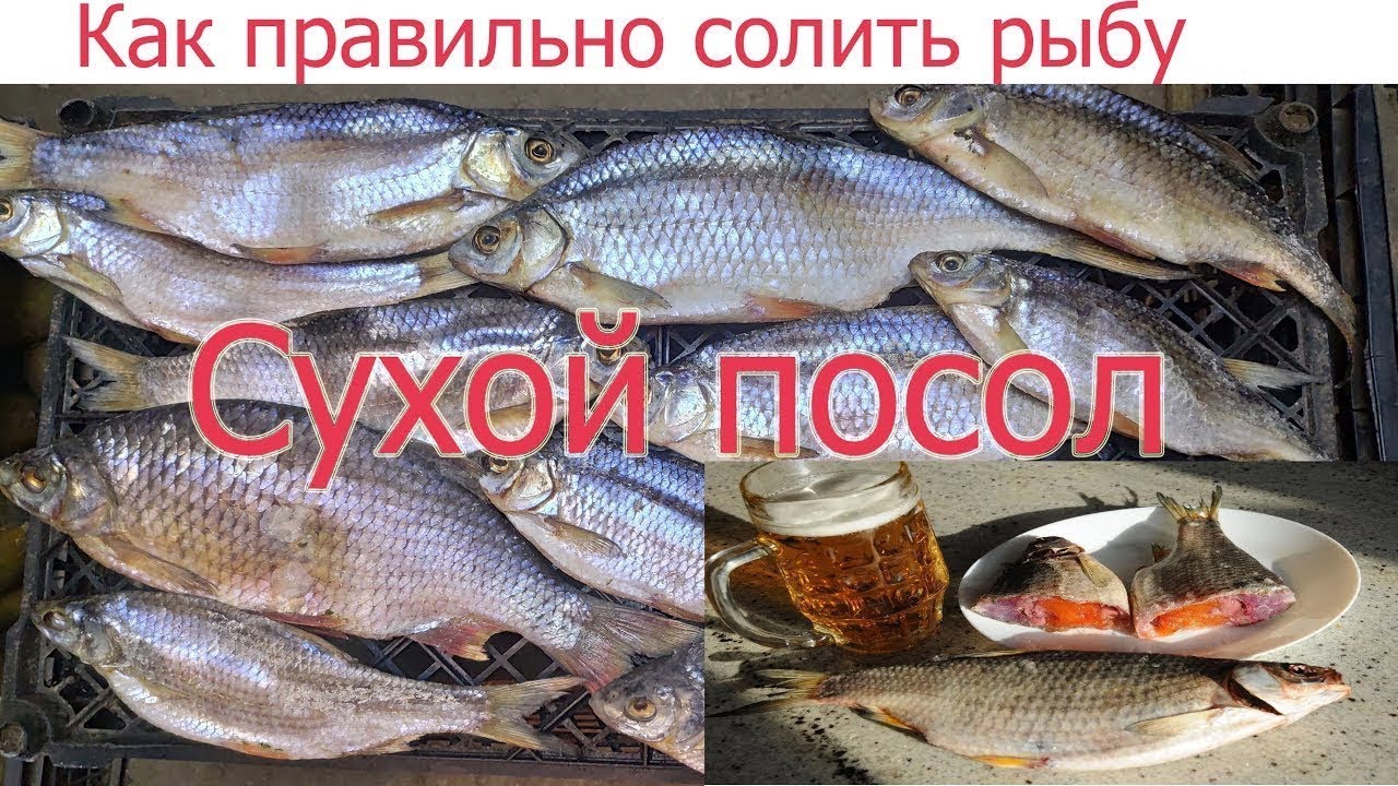 КАК ПРАВИЛЬНО И ВКУСНО СОЛИТЬ СУХИМ ПОСОЛОМ ЛЮБУЮ РЫБУ.