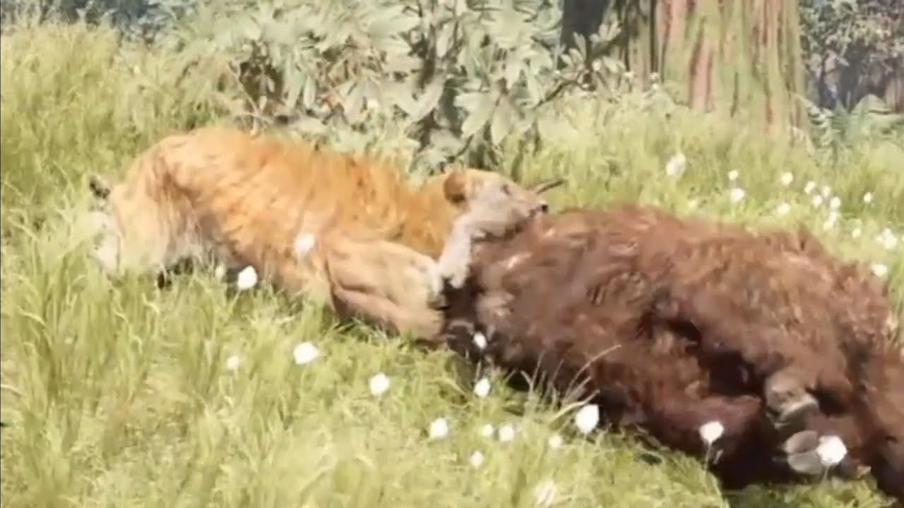 Farcry primal Sabertooth tiger takedown