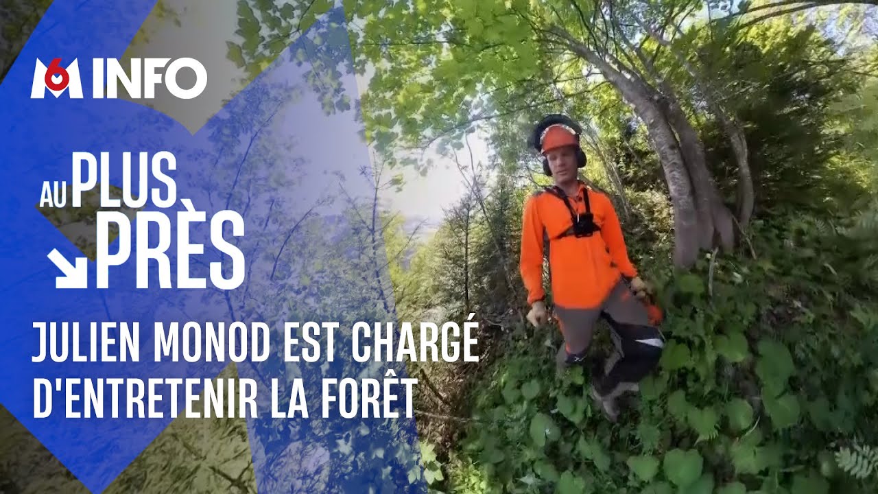 Ouvrier sylviculteur, Julien entretient la for&ecirc;t