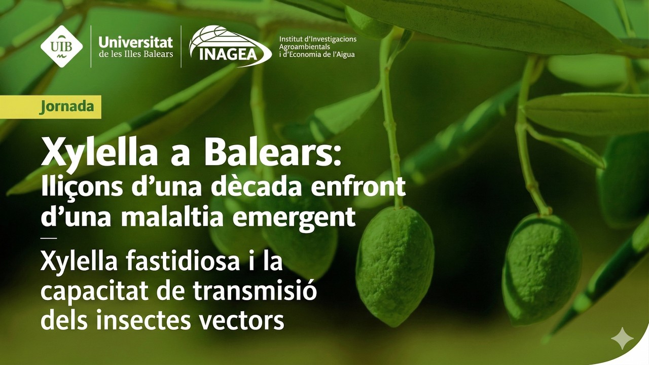 Part 2: Transmisió  de Xylella fastidiosa