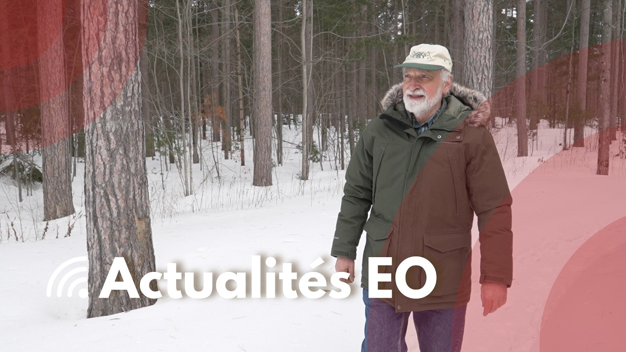 Actualités EO - Journée internationale des forêts