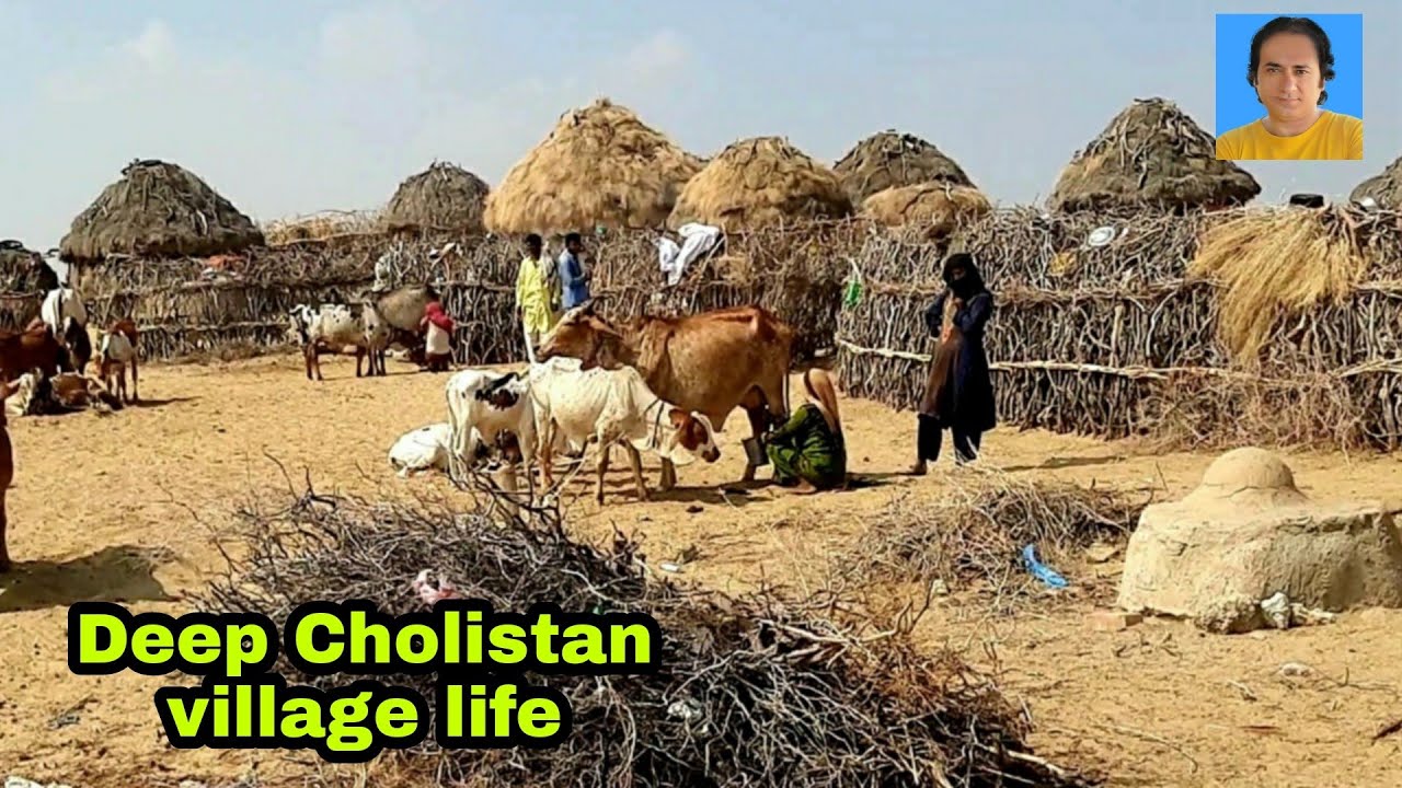 cholistan village inside|cholistan desert |cholistan people |rohi|rohi desert |صحرائے چولستان |روہی
