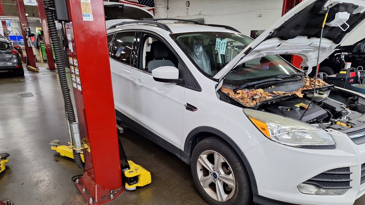 Замена камеры заднего вида Ford Escape | 2013–2019