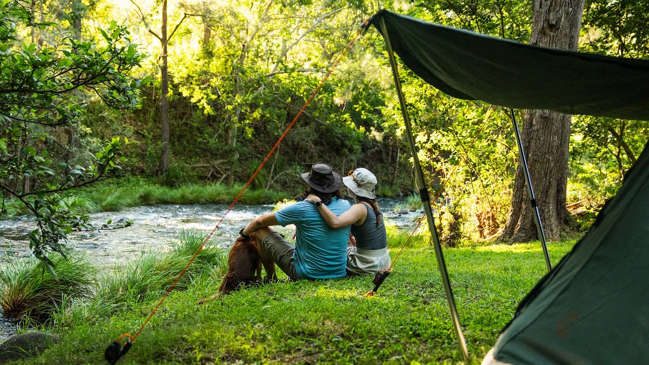 Camping with our Dog by a Crystal Clear Creek | Summer Bliss in Nature | ASMR