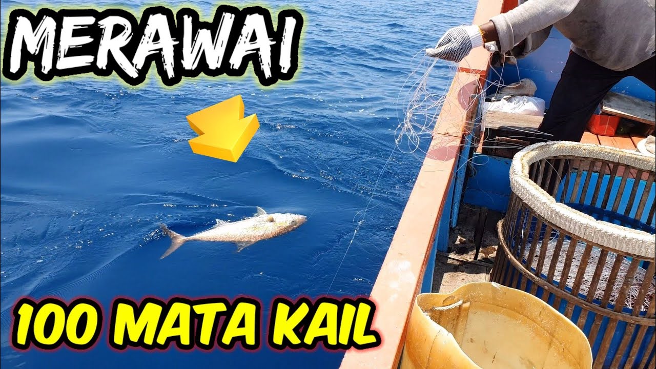 MERAWAI Jelang sore saat Ikan Lapar, Dapat Banyak Ikan Monster Besar | LAUT ACEH