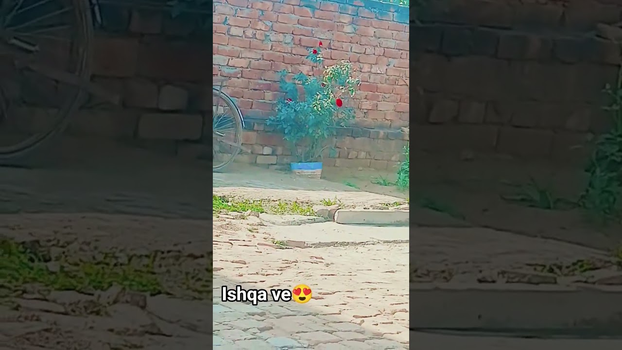 punjabi song lyrics status😍 