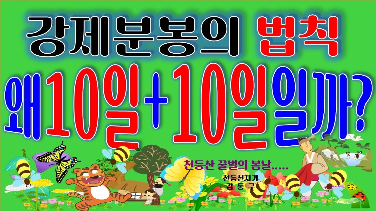 분봉의 10일+10일의 법칙
