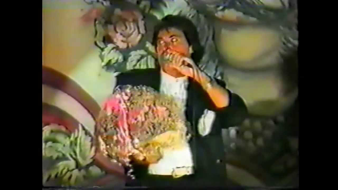 Roy Black Live in Oberhausen 19.8.1989