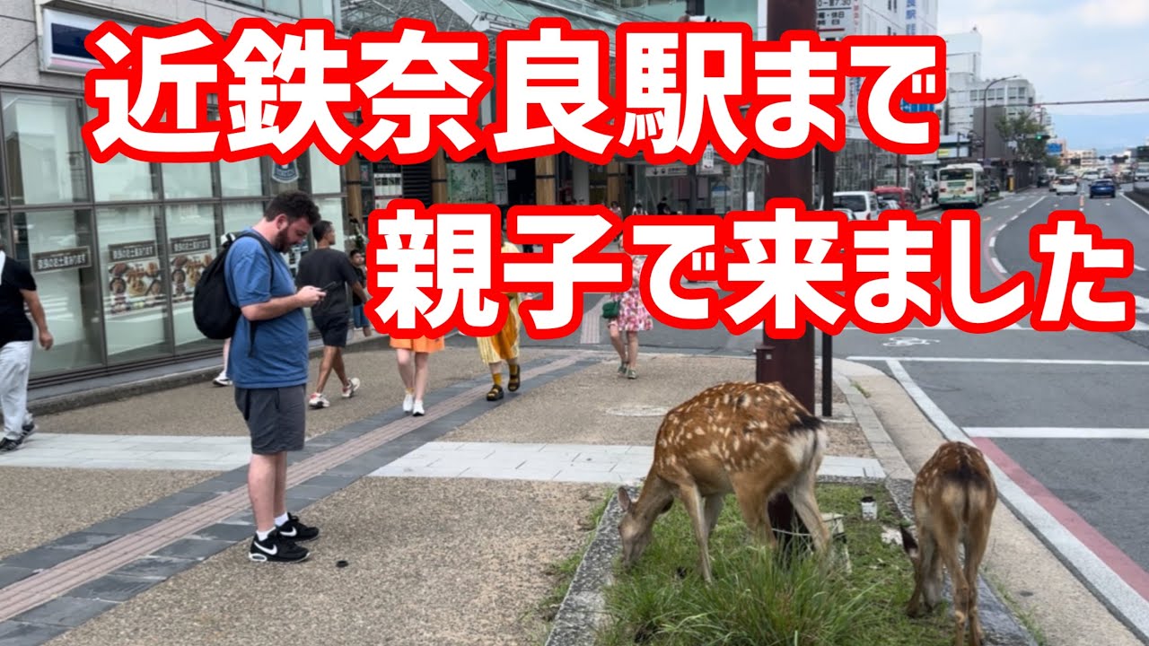 近鉄奈良駅まで親子で来ました🫎