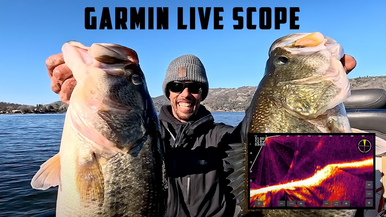 You Can Actually See the Bass Hit – How to LiveScope Fish with Big Bait Bailey