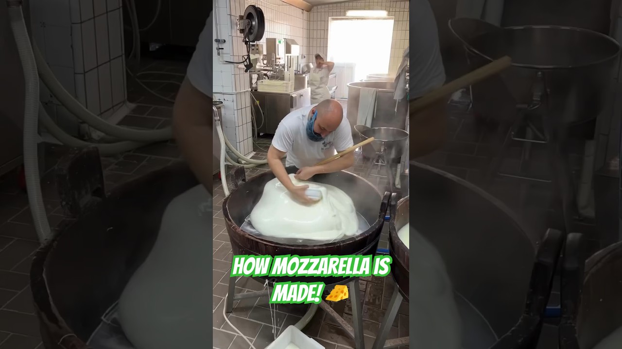 How Mozzarella Is Made! 🧀
