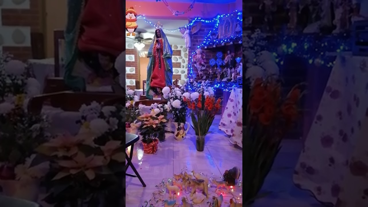 Hay unos ojos- Canto a la Virgen de Guadalupe ✨