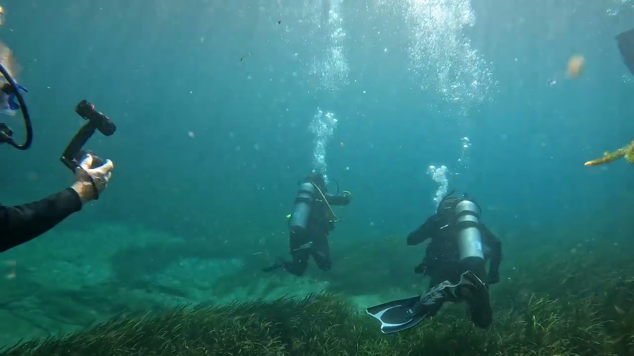 Rainbow River drift dive with the Dive O'clock Crew