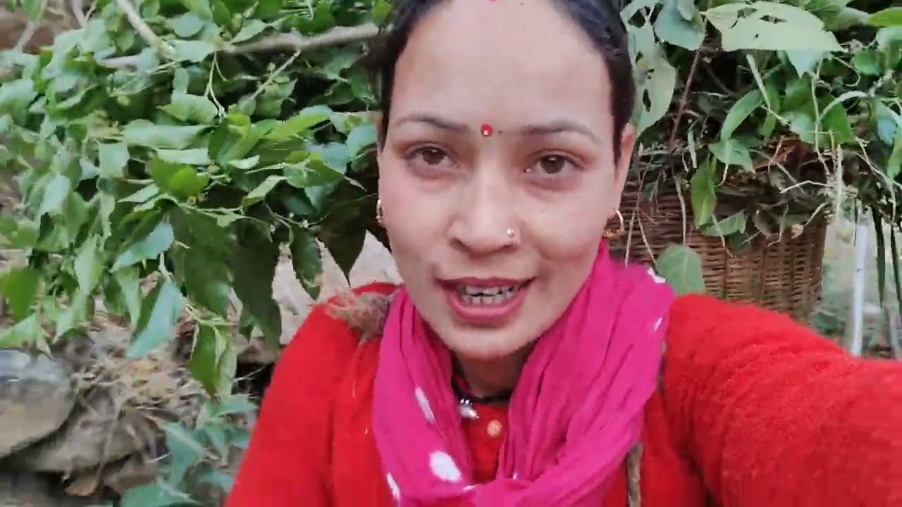 पहाड़ों में फिर से ठंड का मौसम ll Daily Pahadi Lifestyle Vlog ll