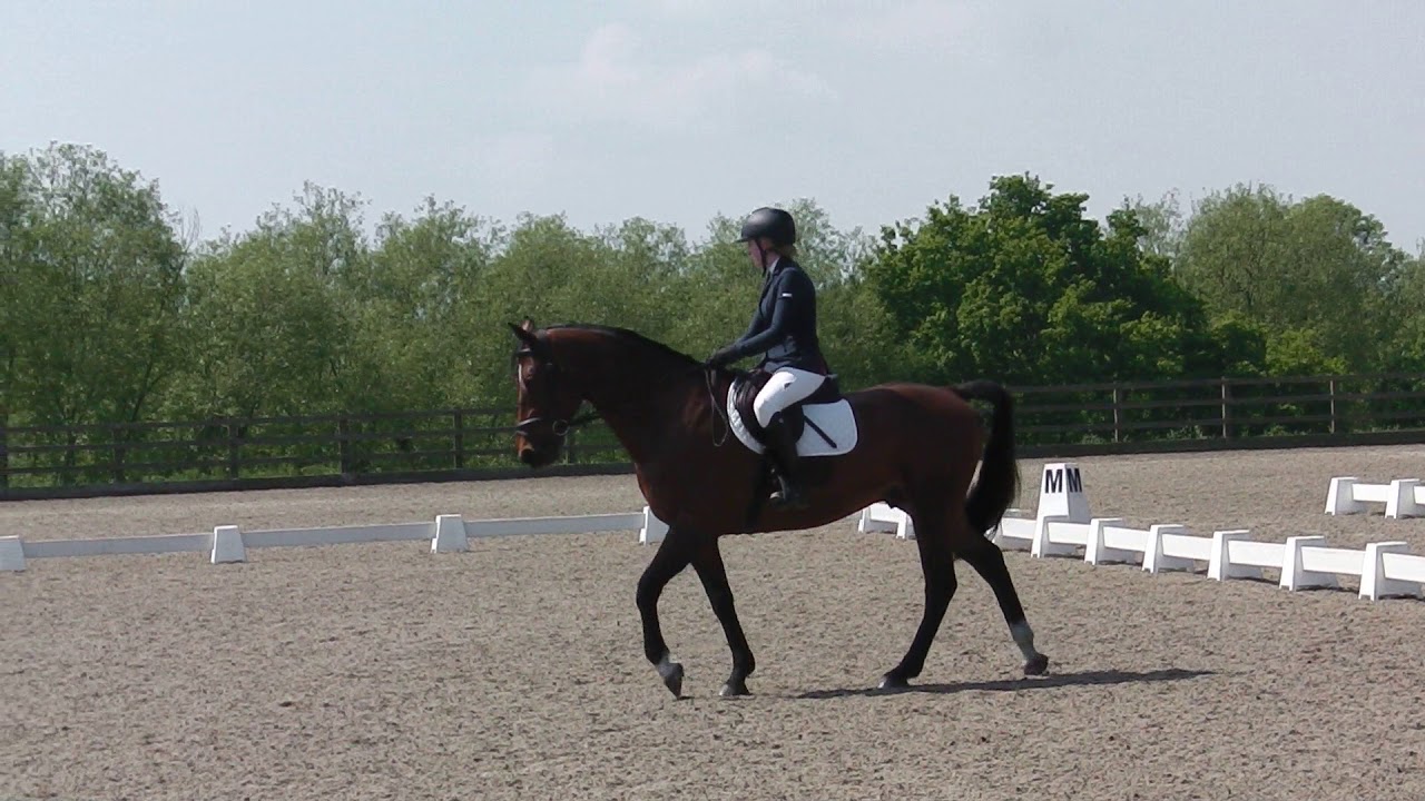 Gary (Number Two Van Overis Z) Prelim 12 71.85% 1st place 19/5/18