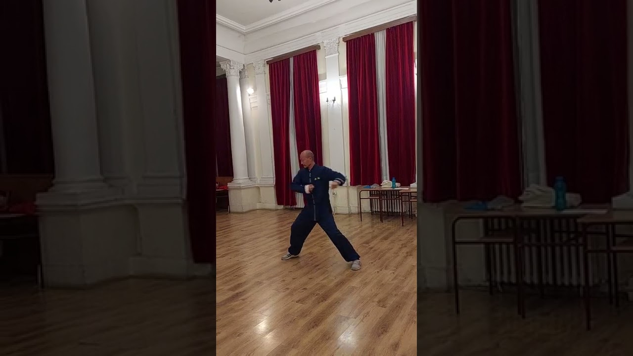 发劲 Fa Jin, Energy Maximally Flowing of Taijiquan in Belgrade, Serbia 太极拳发劲 塞尔维亚 贝尔格莱德