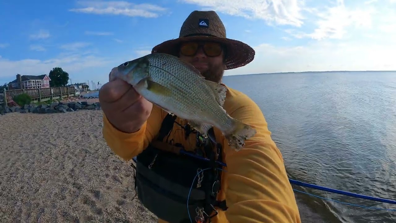 Fly Fishing at Colonial Beach right on the sands