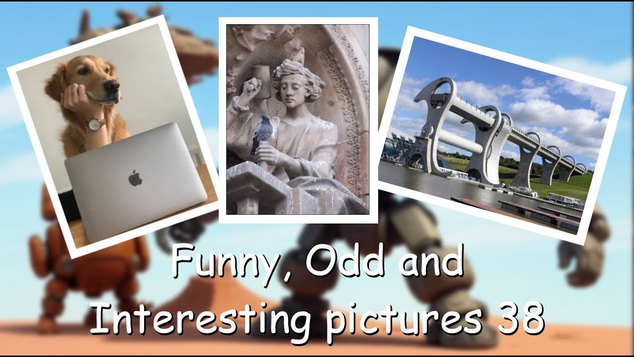 Funny, Odd, Interesting Pictures Video 38