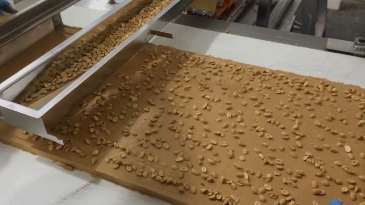 Vibratory Feeder Spreads Peanuts on Snack Food Conveyor