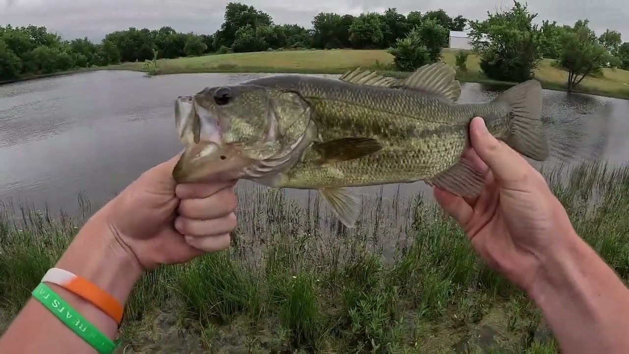 Pond Fishing Catching Bass in the Rain with My Buddy