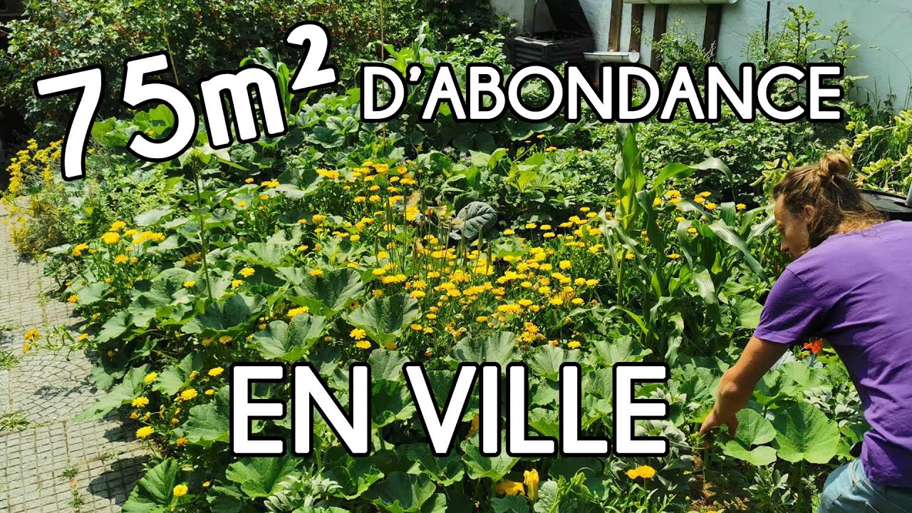 Visite du potager Perma1 - Juillet 2023