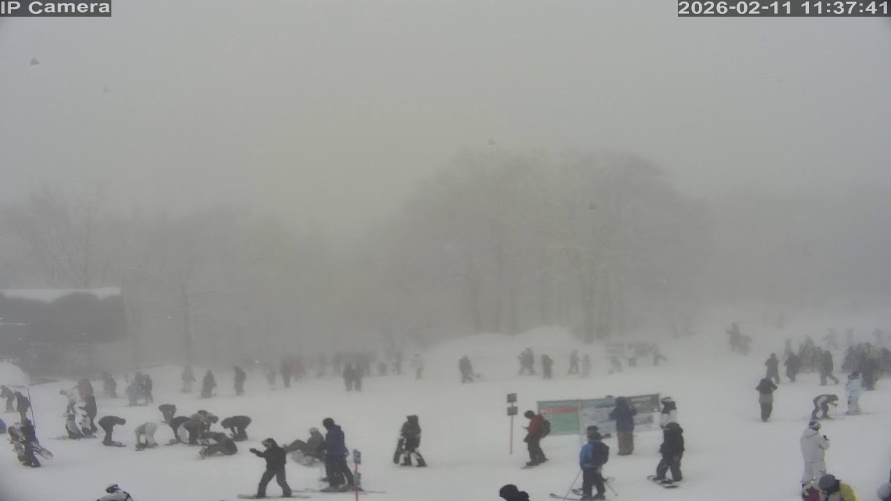 Camera 白馬岩岳マウンテンリゾート - 2026-02-11 11:31