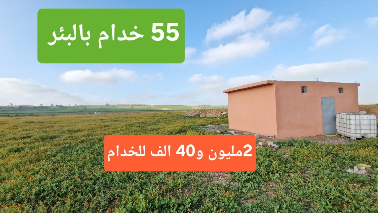 ارض 55 خدام محفظة للبيع بالبئر 33 كلم على الجديدة 