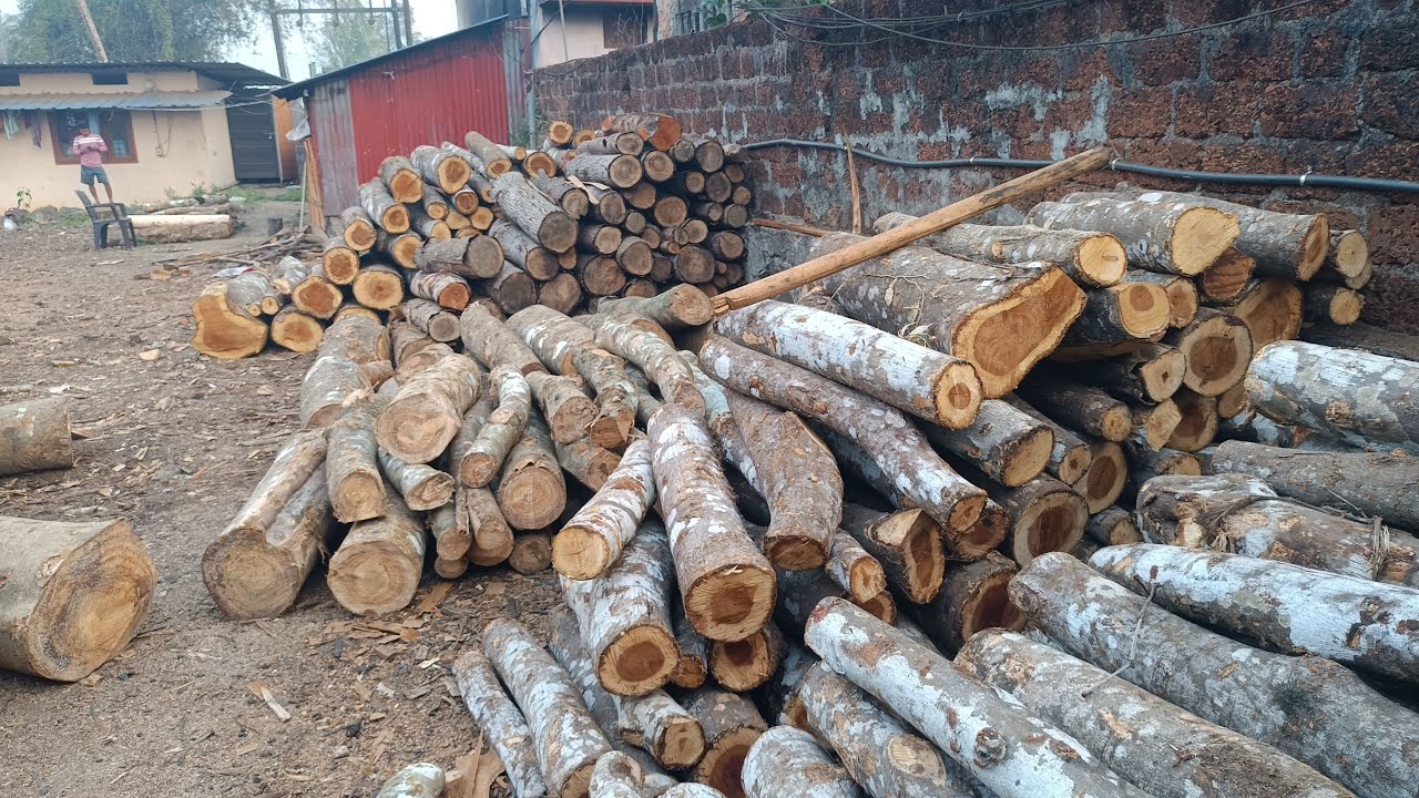 wood ply sheet manufacturer # live working