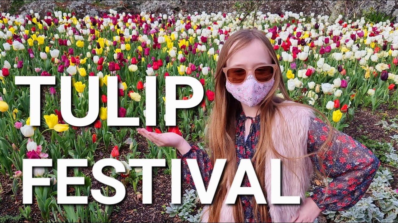 Auckland's Tulip Festival 2022 | Eden Gardens | Fun Food And Activities | New Zealand